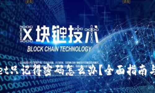 : TPWallet只记得密码怎么办？全面指南与解决方案