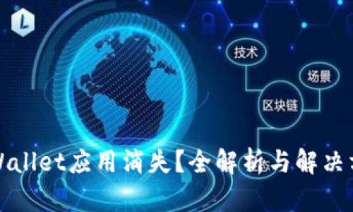 TPWallet应用消失?全解析与解决方案
