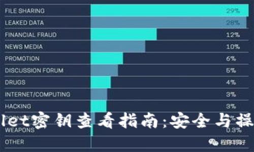 TP.wallet密钥查看指南：安全与操作详解