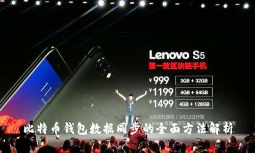 比特币钱包数据同步的全面方法解析