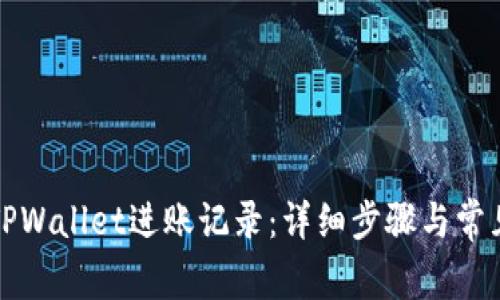 如何查询TPWallet进账记录:详细步骤与常见问题解答