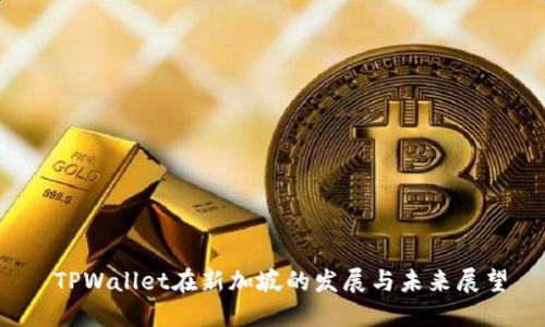  TPWallet在新加坡的发展与未来展望