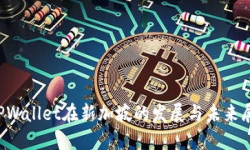  TPWallet在新加坡的发展与未来展望