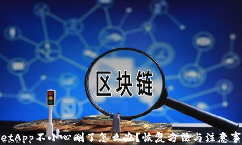 tpwalletApp不小心删了怎么办?恢复方法与注意事项详解