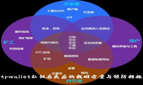 tpwallet私钥丢失后的找回方案与预防措施
