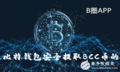 如何通过比特钱包安全提