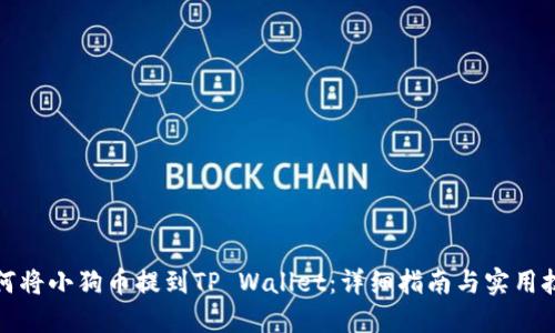 如何将小狗币提到TP Wallet:详细指南与实用技巧