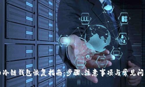 比特币冷链钱包恢复指南:步骤、注意事项与常见问题解答