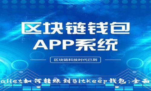 TPWallet如何转账到BitKeep钱包:全面指南