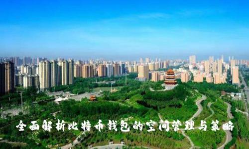 全面解析比特币钱包的空间管理与策略