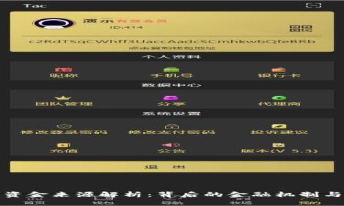 沃钱包的资金来源解析:背后的金融机制与风险管理