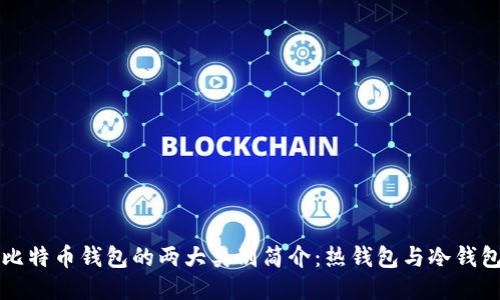 比特币钱包的两大类别简介:热钱包与冷钱包