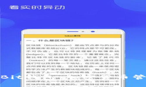 全面解析Bit钱包:加密货币管理新选择