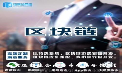 如何选择适合比特币的电子钱包?