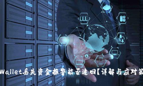 TPWallet丢失资金报警能否追回?详解与应对策略