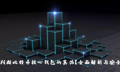 如何判断比特币核心钱包的真伪？全面解析与安全指南