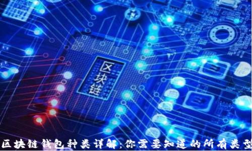 
区块链钱包种类详解：你需要知道的所有类型
