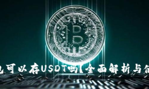 BTC钱包可以存USDT吗？全面解析与使用指南