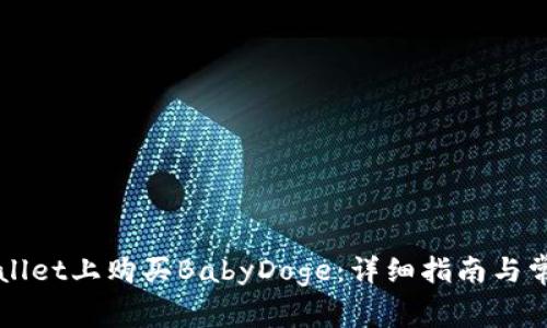 如何在TPWallet上购买BabyDoge:详细指南与常见问题解答