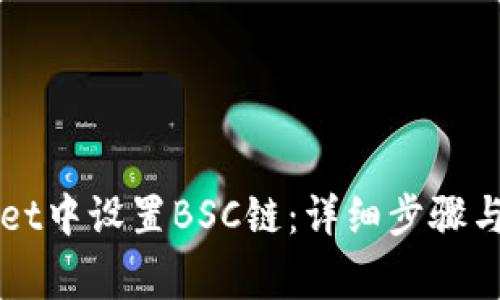 如何在TPWallet中设置BSC链：详细步骤与常见问题解答
