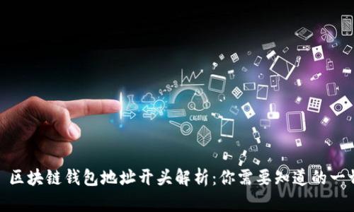 : 区块链钱包地址开头解析:你需要知道的一切