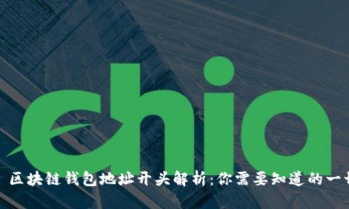 : 区块链钱包地址开头解析:你需要知道的一切