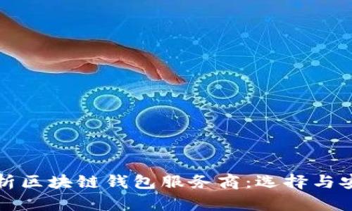 全面解析区块链钱包服务商：选择与安全指南
