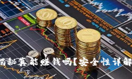 TPWallet:揭秘真能赚钱吗?安全性详解及用户指南