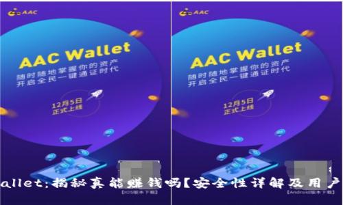 TPWallet:揭秘真能赚钱吗?安全性详解及用户指南