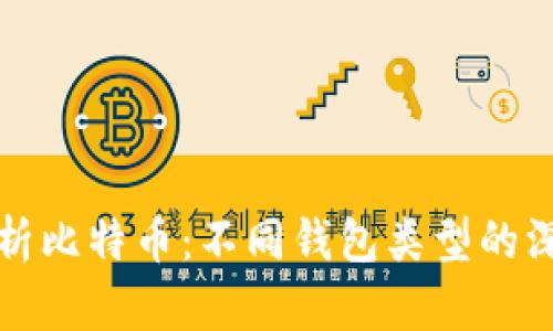 全面解析比特币:不同钱包类型的深度对比