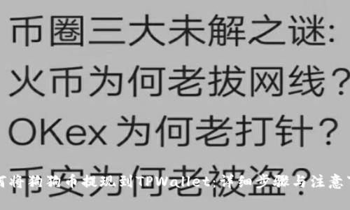 如何将狗狗币提现到TPWallet:详细步骤与注意事项