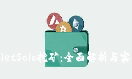 TPWalletSolo挖矿:全面解析与实用指南
