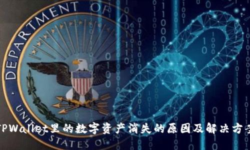 TPWallet里的数字资产消失的原因及解决方案