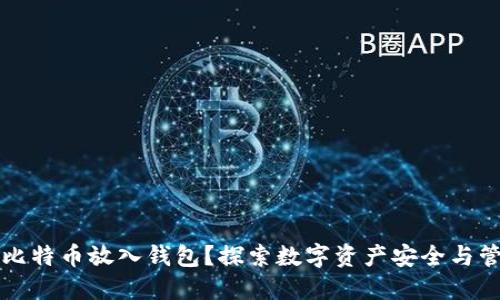 为什么要把比特币放入钱包?探索数字资产安全与管理的重要性