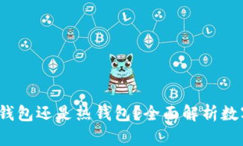 TPWallet:冷钱包还是热钱包?全面解析数字资产安全性