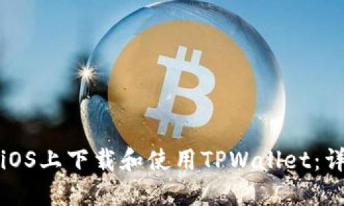 如何在iOS上下载和使用TPWallet:详细指南