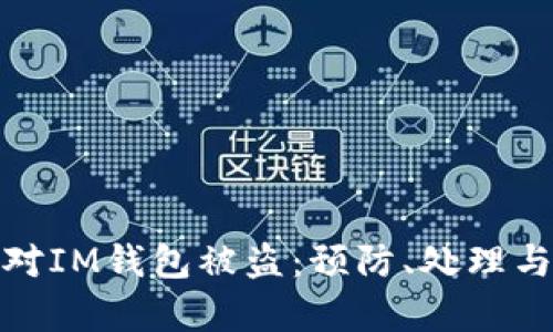 : 如何应对IM钱包被盗:预防、处理与恢复指南