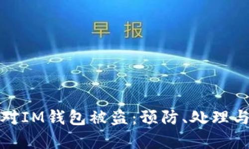 : 如何应对IM钱包被盗:预防、处理与恢复指南