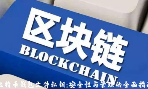 比特币钱包文件私钥:安全性与管理的全面指南