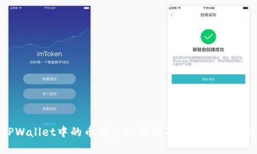TPWallet中的币消失的原因及解决方法详解