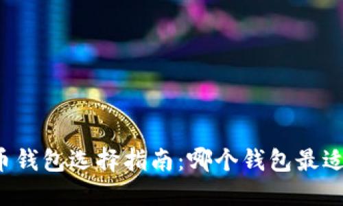 比特币钱包选择指南:哪个钱包最适合您?