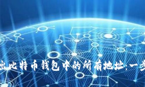 如何导出比特币钱包中的所有地址:一步步详解