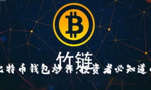 全面解析比特币钱包炒作：投资者必知道的关键因素