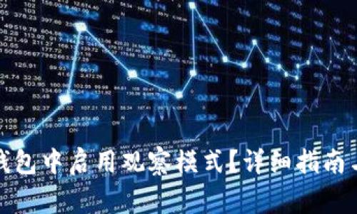如何在比特币钱包中启用观察模式?详细指南与常见问题解答