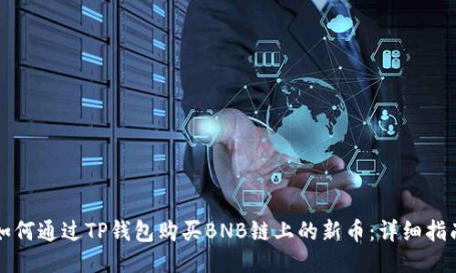 如何通过TP钱包购买BNB链上的新币:详细指南
