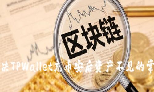 如何解决TPWallet充币安后资产不见的常见问题