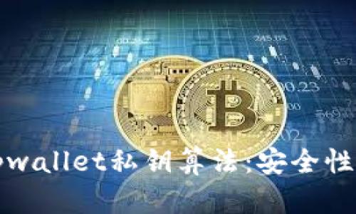 深入探讨tpwallet私钥算法:安全性与应用详解