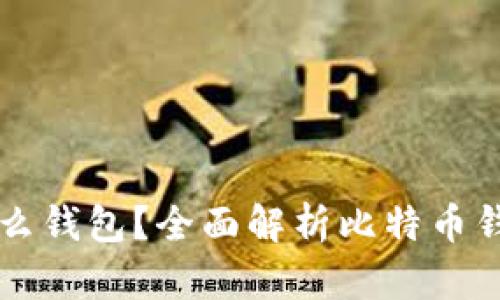 比特币充值用什么钱包?全面解析比特币钱包的选择与使用