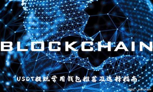 “USDT提现常用钱包推荐及选择指南”