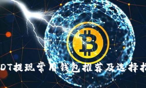 “USDT提现常用钱包推荐及选择指南”